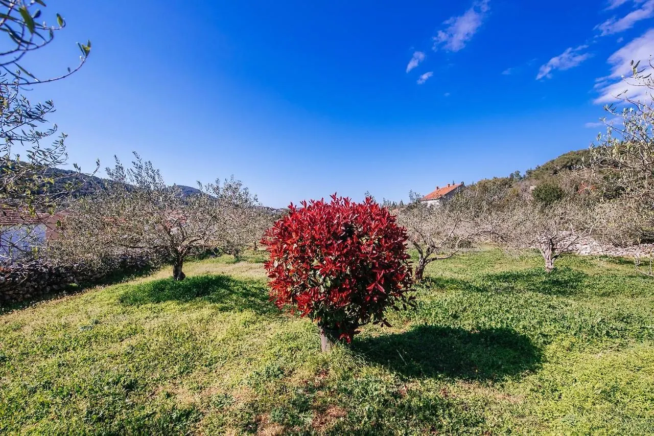 Roko Opacac Veli Iz,Otok Iz Apartment